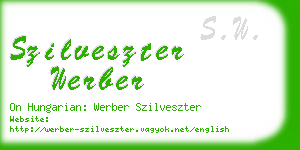 szilveszter werber business card